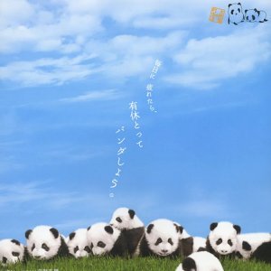 Panda Diary (2008)