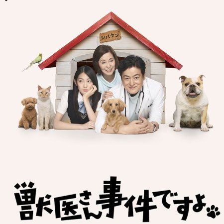 Kamisama no Boto  (2013)