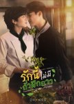 This Love Doesn't Have Long Beans thai drama review