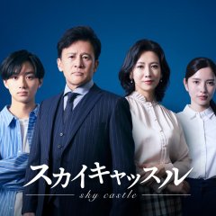 SKY Castle Japanese Drama(2024) photo