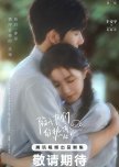 Be Passionately in Love chinese drama review