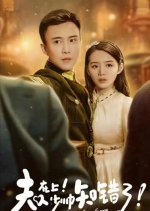 Please Say Sorry Chinese Drama photo