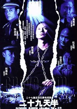 29 Tian Ban (2006) poster