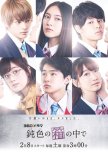Nibiiro no Hako no Naka de japanese drama review