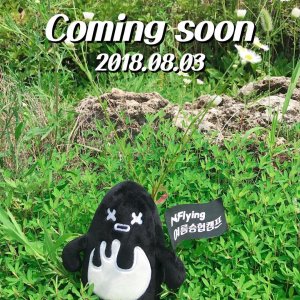 N.Flying Seunghyub's Summer Camp (2018)