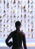 El Fin del Mundo Korean Movie photo