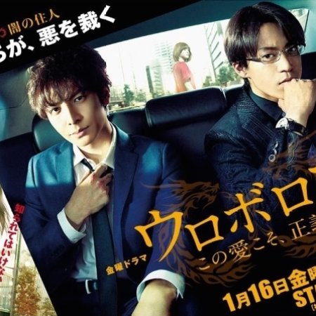 Kamisama no Boto  (2013)