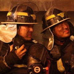 Standing Sleeping Tree Korean Movie photo