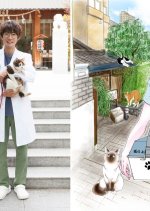 Sakanoue Animal Clinic Story Japanese Drama photo