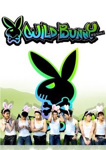 Wild Bunny (2009) poster