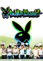 Wild Bunny Korean TV Program photo