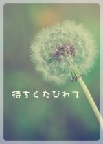 Machiku Tabirete Japanese Drama photo