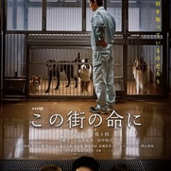 Kono Machi no Inochi ni Japanese Drama photo