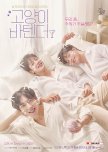 Cat's Bar korean drama review