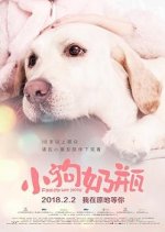 Find My Way Home (2018) - MyDramaList