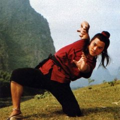 Shaolin Temple 2: Kids from Shaolin Hong Kong Movie photo