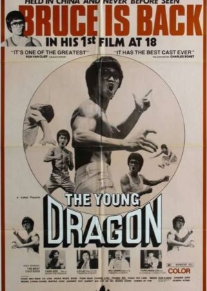 Young Dragon (1979) poster