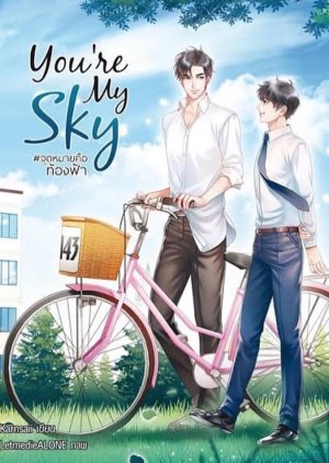 You're My Sky - MyDramaList