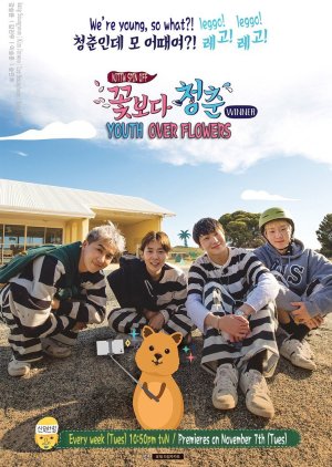Youth Over Flowers : Australia (2017) poster