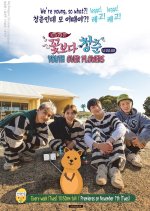Youth Over Flowers : Australia (2017) foto