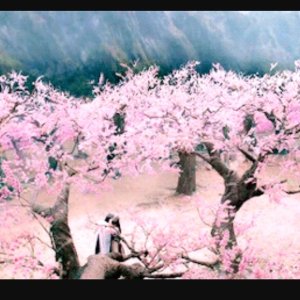 Kamisama no Boto  (2013)