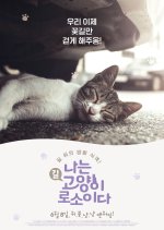 I Am a Cat Korean Movie(2017) photo