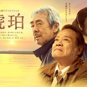 Kamisama no Boto  (2013)