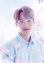 Haru ga Kita Japanese Drama photo