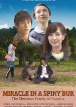 Miracle in Kasama Japanese Movie photo