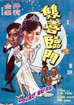 Double Bliss Hong Kong Movie photo