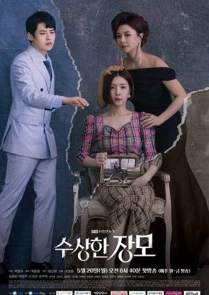 Shady Mom-in-Law (2019) poster