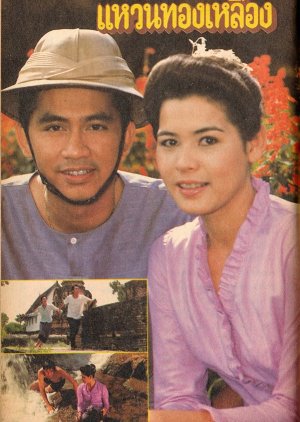 Waen Tong Luang (1986) poster
