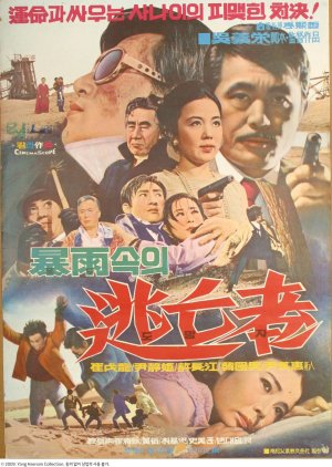 Fugitive in the Storm (1972) poster