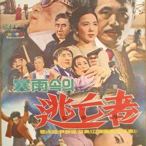 Fugitive in the Storm (1972)