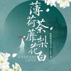 Endless Love Chinese Drama(0000) photo
