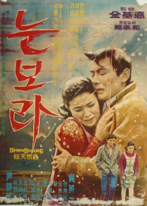 The Snowstorm (1968) poster