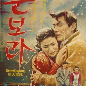 The Snowstorm (1968)