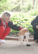 Nanba MG5: Zenkai Baribaride Arigato-hen Japanese Drama photo