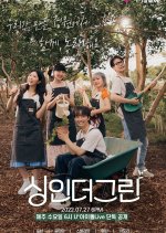 Sing in the Green Korean TV Program photo