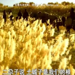 Camel Caravan Chinese Movie photo