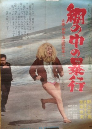 Rape in the Net (1967) poster