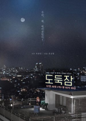 Drama Special: Thief Sleep (2020) poster