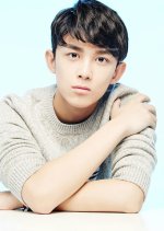 Temporary Bodyguard Chinese Movie photo