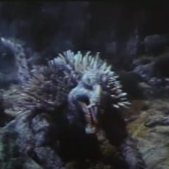 Destroy All Monsters Japanese Movie photo