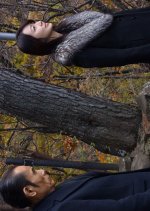 Shuchakueki Series 36: Yuki no Hotaru Japanese Drama photo