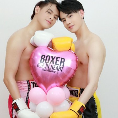 Boxer in Heart ()