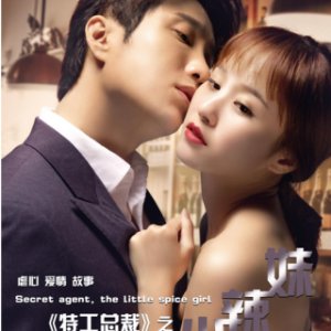 Perfect Match: The Special Agent and His Hot Girl (2018)