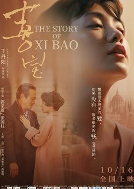 The Story of Xi Bao (2020) poster