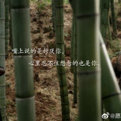 Oops! The King Is in Love Chinese Drama photo