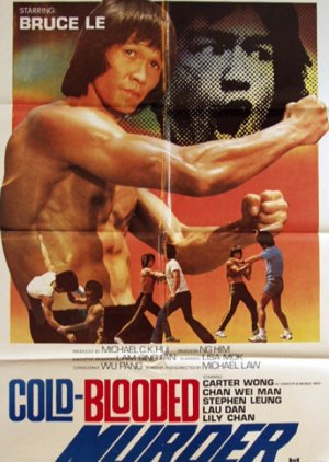 The Mad Cold Blooded Murder (1981) poster